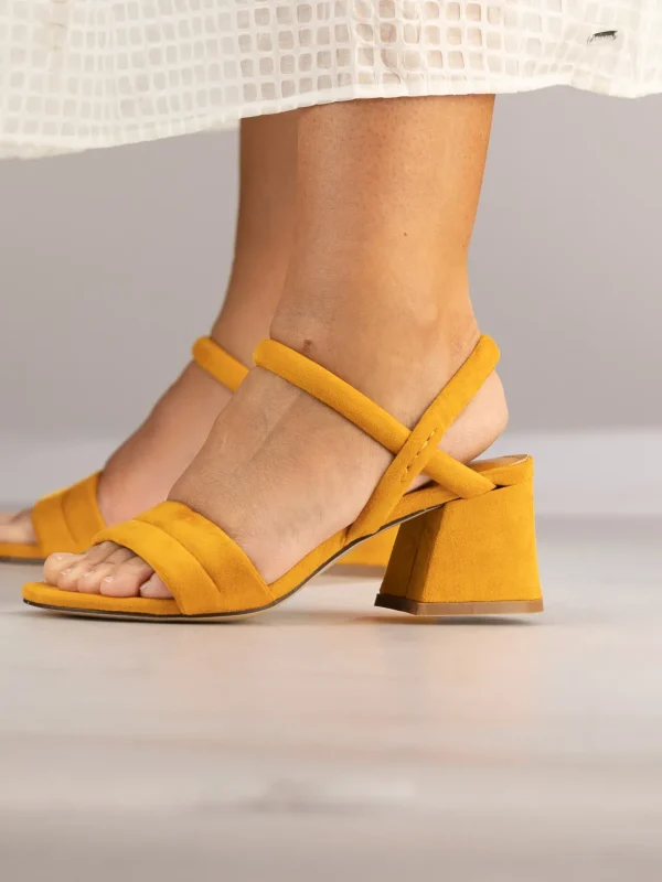 Jean Paul Sandaler | Pensko>– Calvi Orange
