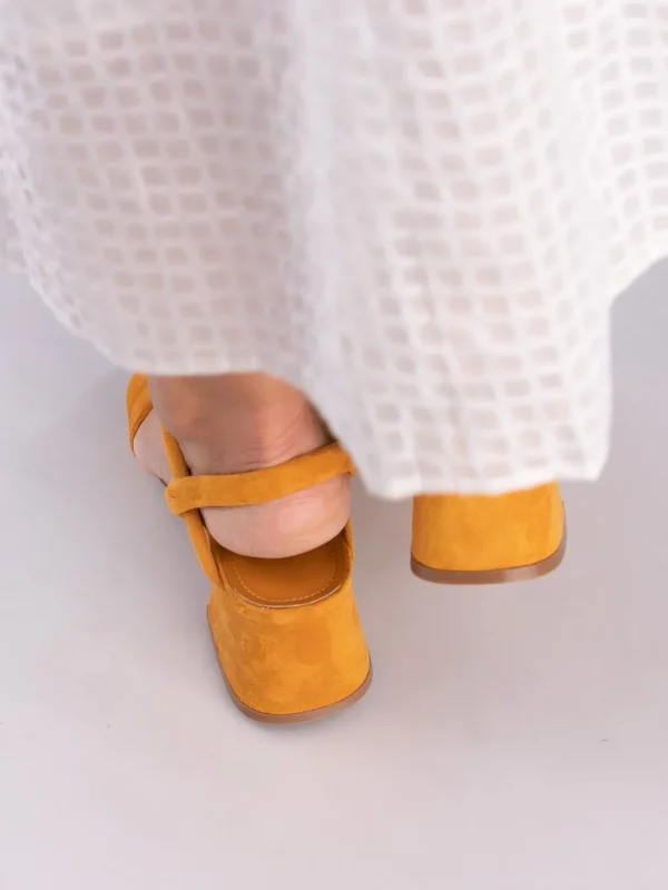 Jean Paul Sandaler | Pensko>– Calvi Orange