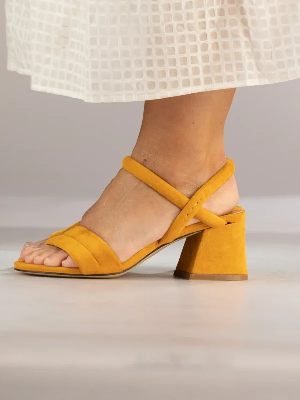 Jean Paul Sandaler | Pensko>– Calvi Orange