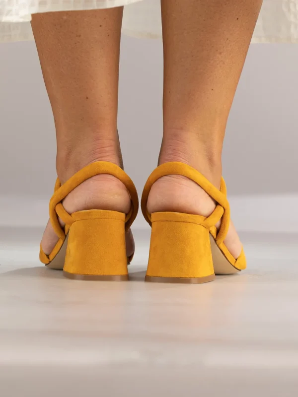 Jean Paul Sandaler | Pensko>– Calvi Orange