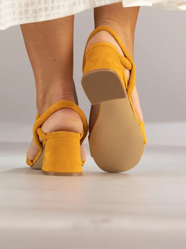 Jean Paul Sandaler | Pensko>– Calvi Orange