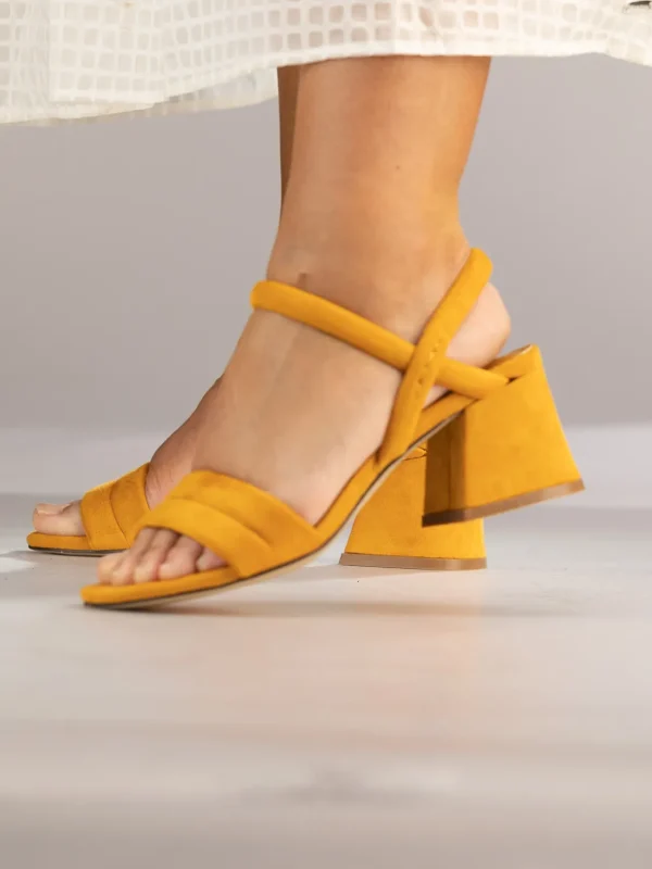 Jean Paul Sandaler | Pensko>– Calvi Orange