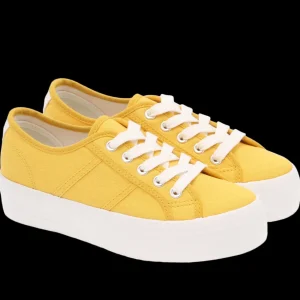 Jean Paul Sneakers>– Eleve 2