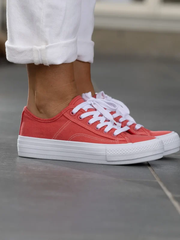 Jean Paul Sneakers>– Voie Tea Rose