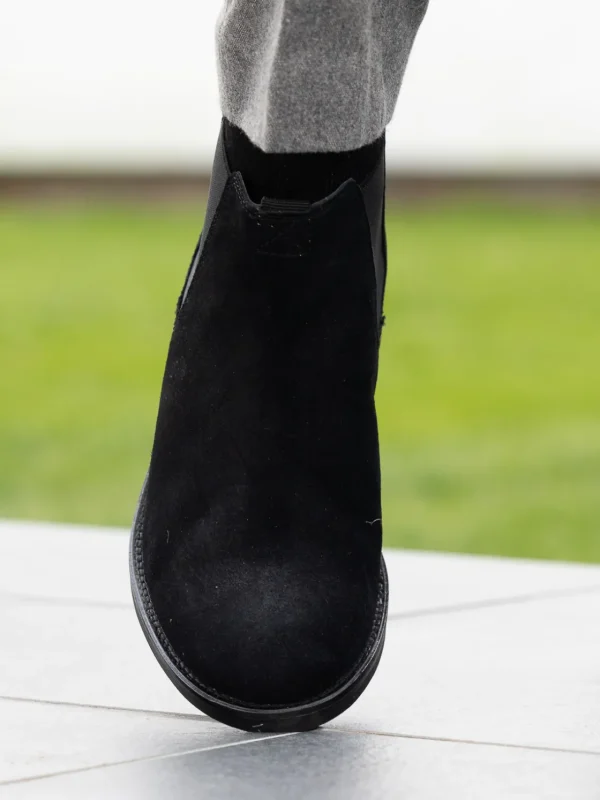 Noodles Skoletter Og Boots>– Chelsea Boot Suede Black
